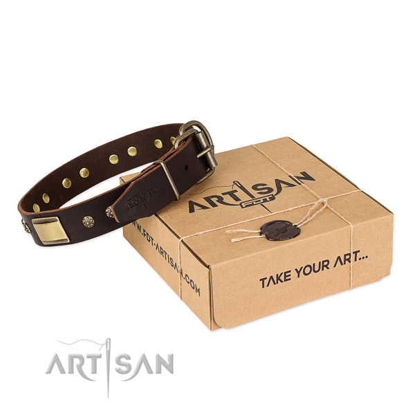 Handmade full grain genuine leather collar for your handsome pet