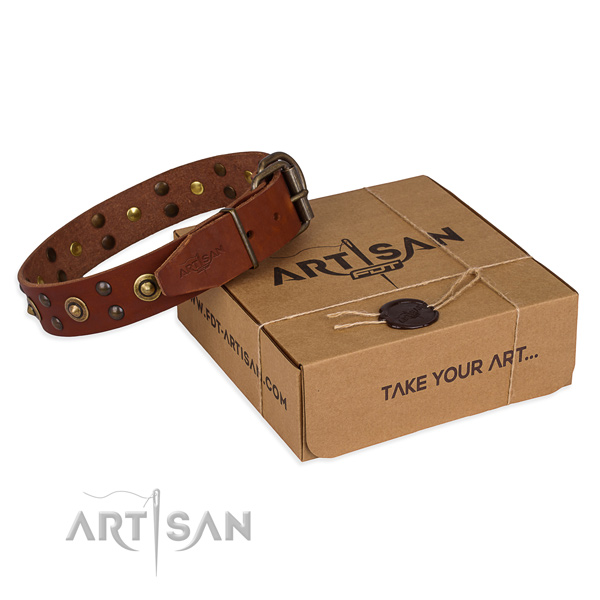 Reliable buckle on genuine leather collar for your impressive canine