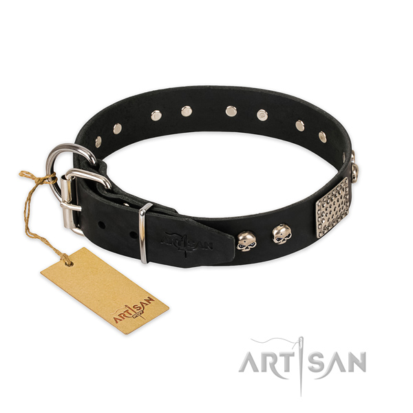 Durable adornments on stylish walking dog collar