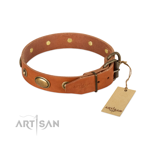Durable decorations on leather dog collar for your canine