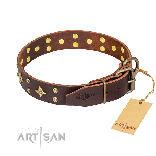 Walking decorated dog collar of high quality leather