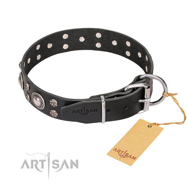 Everyday walking embellished dog collar of top notch natural leather