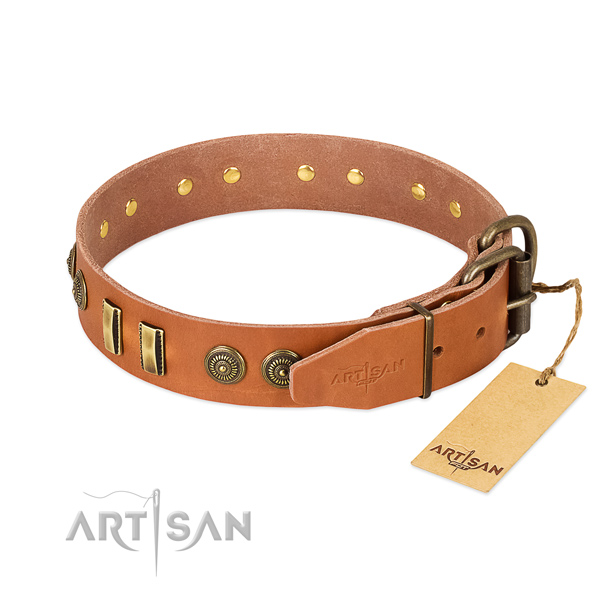 Corrosion proof traditional buckle on genuine leather dog collar for your dog