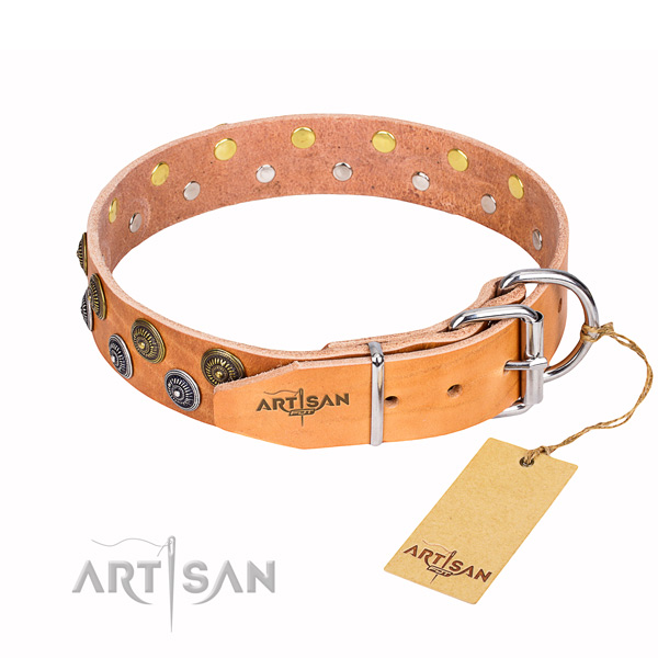 Everyday walking embellished dog collar of finest quality leather