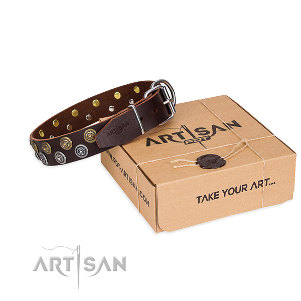 Daily use dog collar of high quality full grain natural leather with decorations