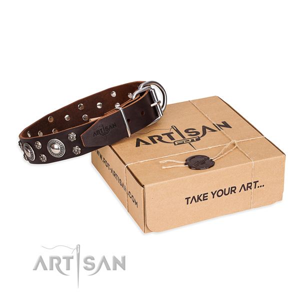 Walking dog collar of high quality leather with decorations