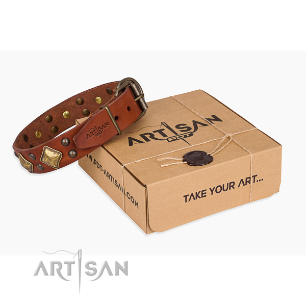 Comfy wearing dog collar with Exceptional rust resistant studs