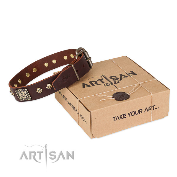 Embellished full grain natural leather collar for your stylish pet