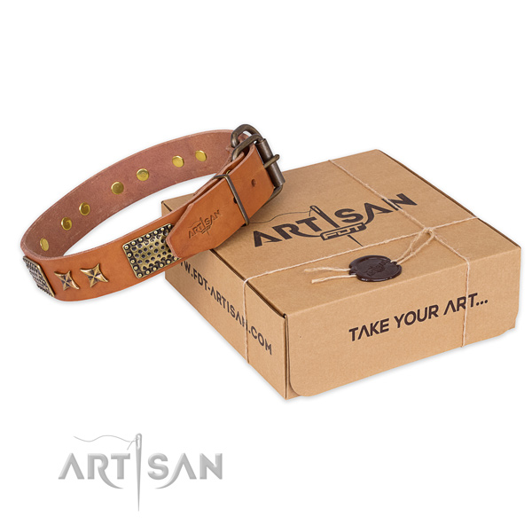 Reliable buckle on leather collar for your attractive canine