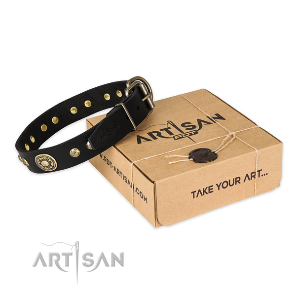 Durable traditional buckle on genuine leather dog collar for easy wearing