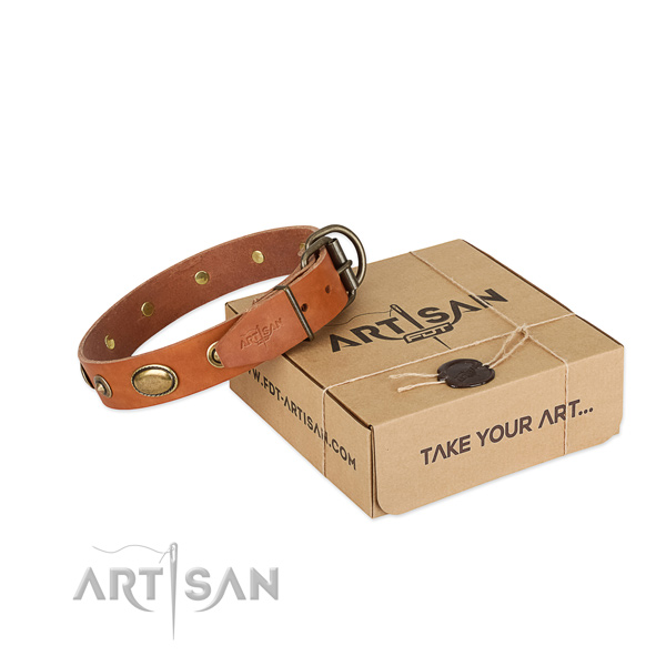 Stylish full grain natural leather collar for your impressive pet