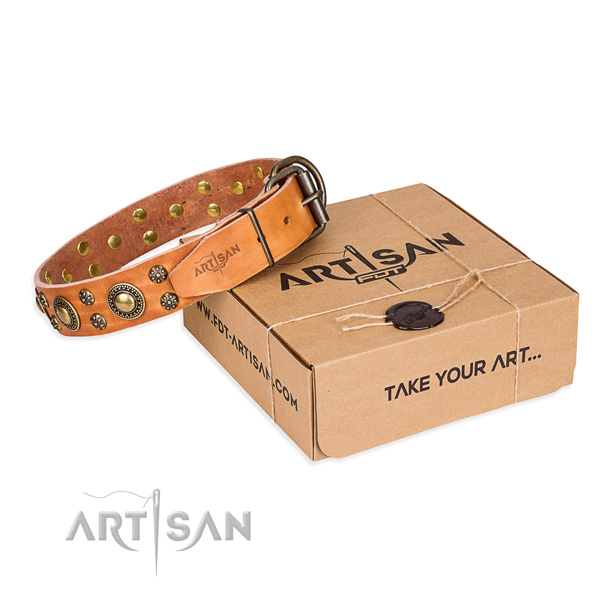 Easy wearing dog collar of best quality natural leather with embellishments