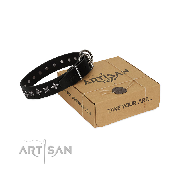 Walking dog collar of top quality full grain leather with adornments