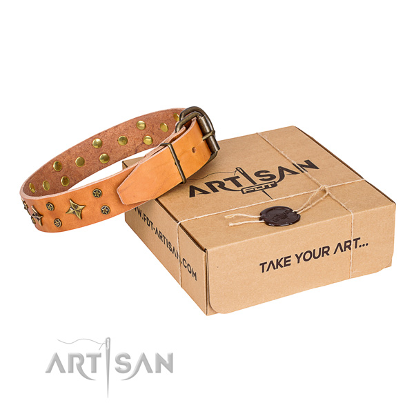 Walking dog collar of reliable natural leather with studs