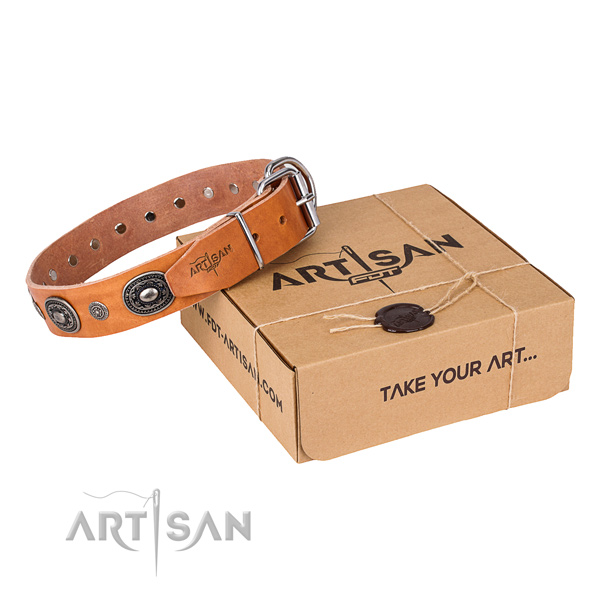 Quality full grain leather dog collar crafted for walking