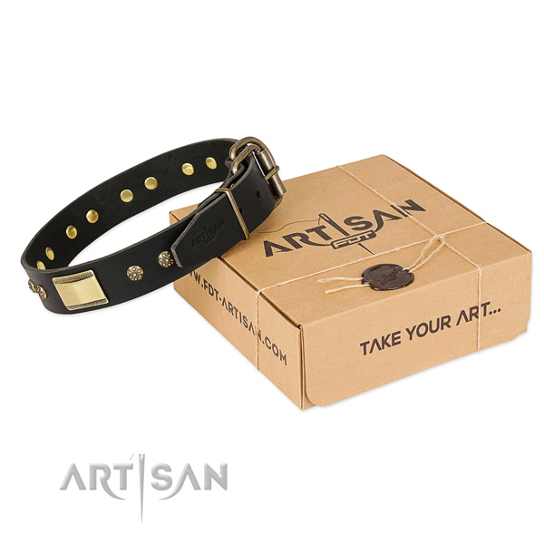 Remarkable leather collar for your attractive doggie