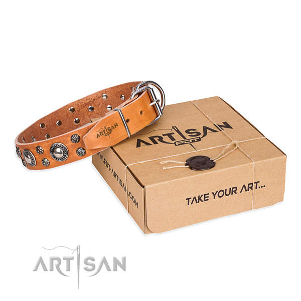 Walking dog collar of strong full grain genuine leather with studs