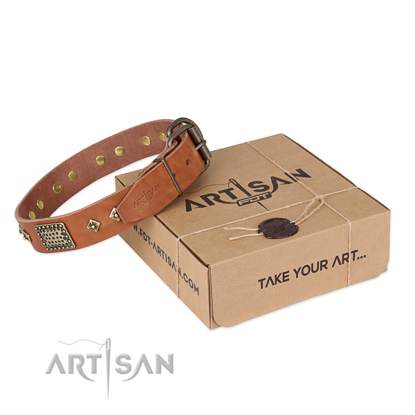 Top notch genuine leather collar for your handsome four-legged friend