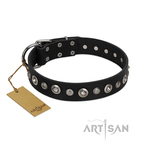 Strong full grain leather dog collar with stylish decorations