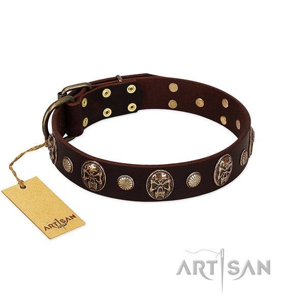 Exquisite full grain natural leather dog collar for stylish walking