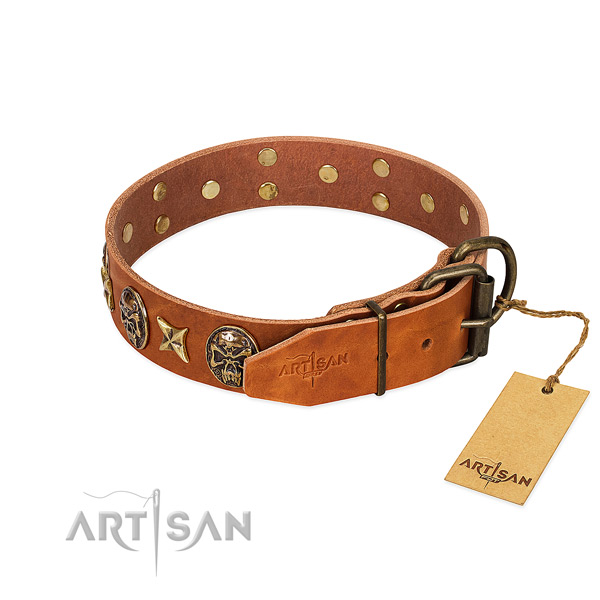 Leather dog collar with corrosion proof traditional buckle and embellishments