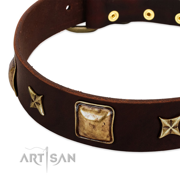 Corrosion proof adornments on natural genuine leather dog collar for your doggie