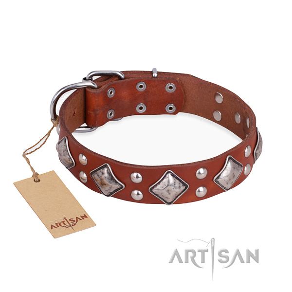 Walking handcrafted dog collar with corrosion proof D-ring