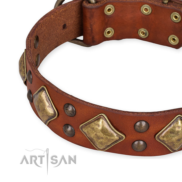 Full grain natural leather collar with rust resistant hardware for your attractive canine