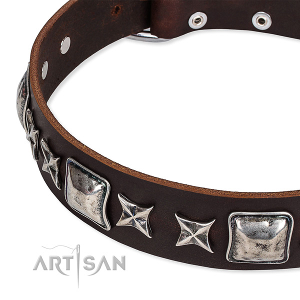 Basic training decorated dog collar of best quality full grain leather