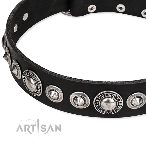 Comfy wearing studded dog collar of top quality full grain natural leather