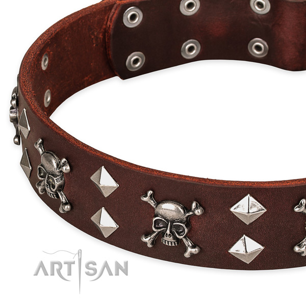 Basic training embellished dog collar of fine quality leather
