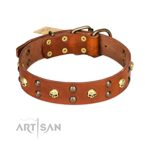 Daily use dog collar of high quality full grain genuine leather with embellishments