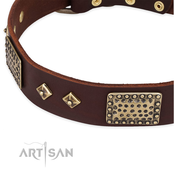 Rust resistant embellishments on genuine leather dog collar for your doggie