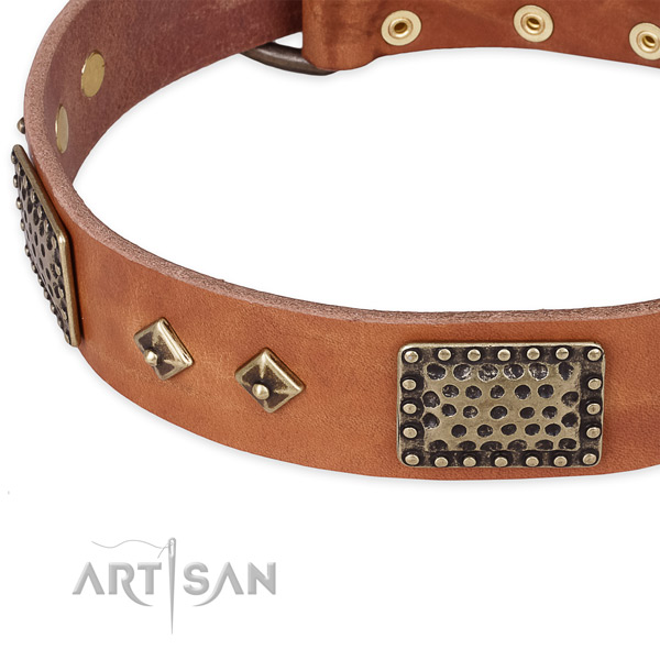 Rust resistant adornments on leather dog collar for your doggie
