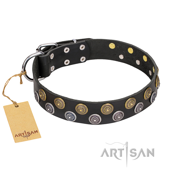 Everyday use dog collar of quality full grain leather with studs