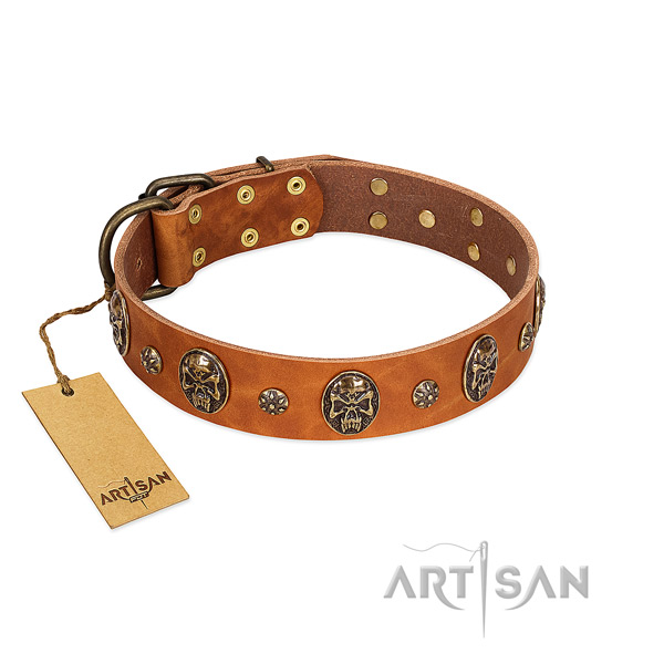 Easy wearing full grain leather collar for your dog