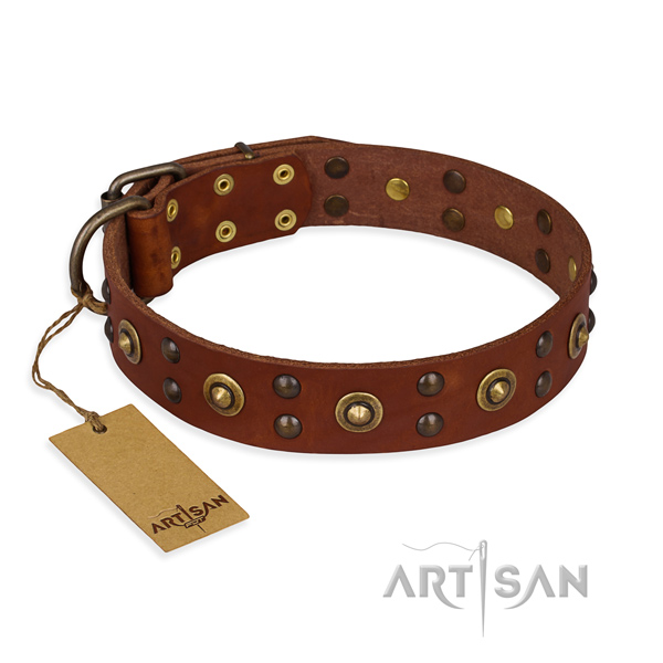 Studded full grain genuine leather dog collar with durable D-ring