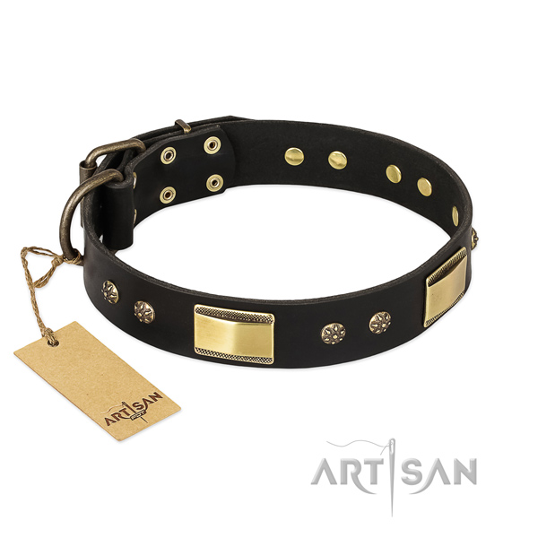 Fine quality full grain natural leather dog collar for daily use