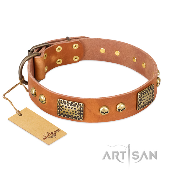 Easy to adjust full grain genuine leather dog collar for stylish walking your four-legged friend