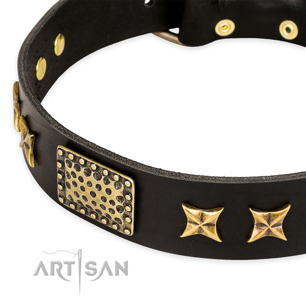 Natural genuine leather collar with strong traditional buckle for your lovely four-legged friend