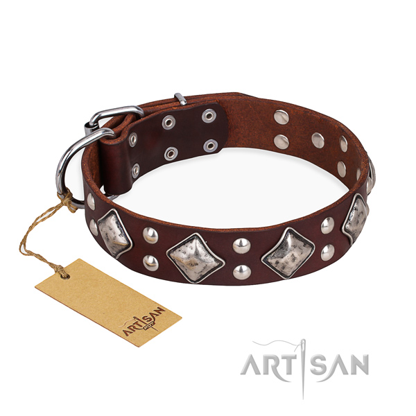 Easy wearing unique dog collar with strong buckle