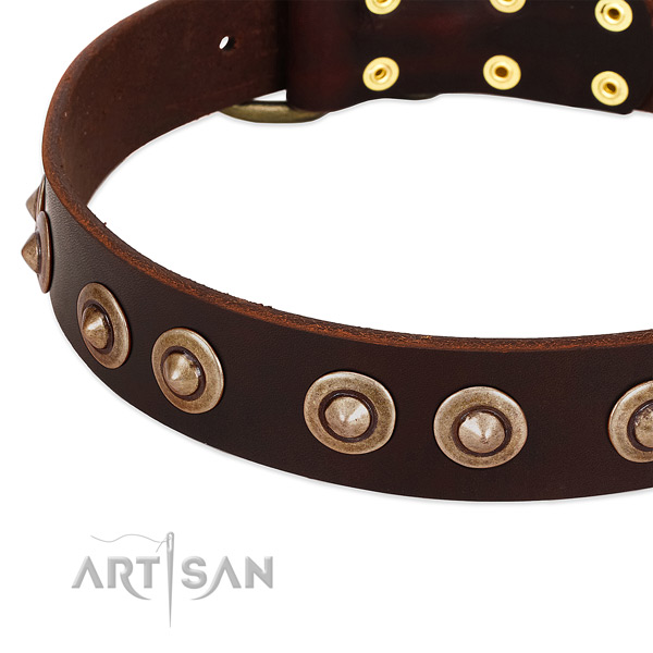 Durable hardware on genuine leather dog collar for your four-legged friend