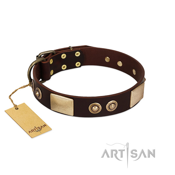 Easy adjustable full grain genuine leather dog collar for stylish walking your doggie