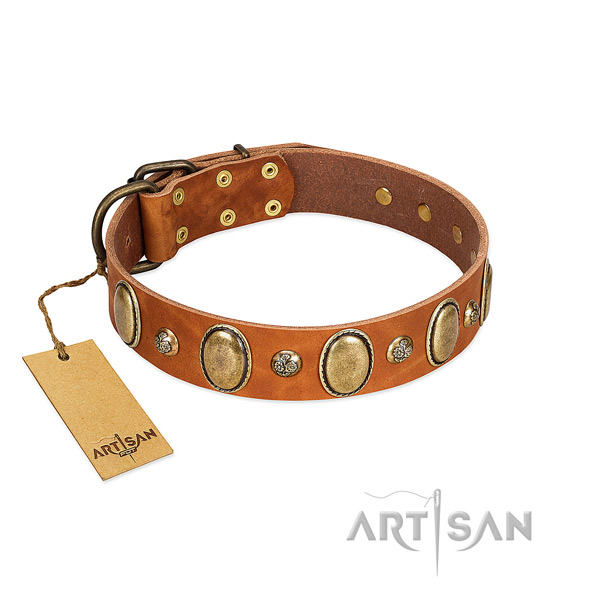 Genuine leather dog collar of quality material with top notch studs