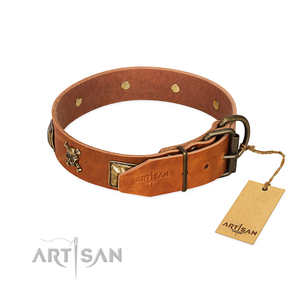 Remarkable full grain leather dog collar with corrosion proof embellishments