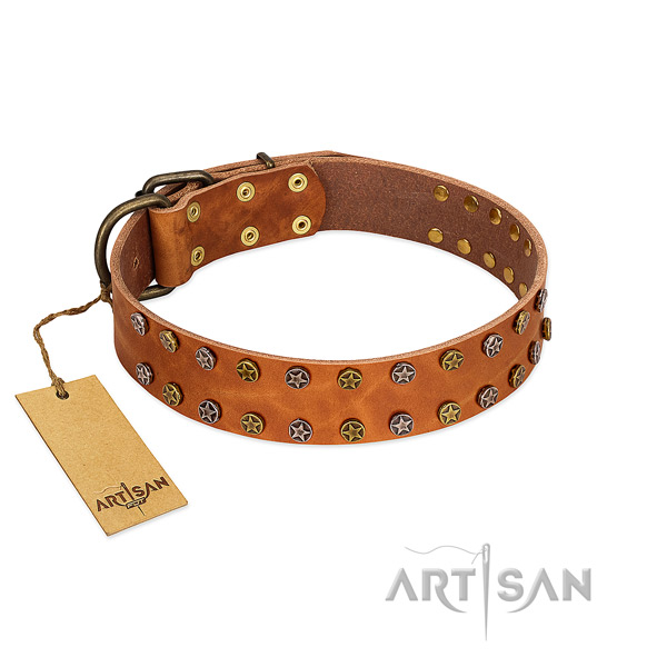 Everyday walking soft to touch full grain genuine leather dog collar with embellishments