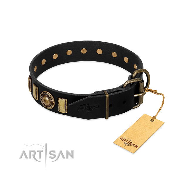Gentle to touch full grain natural leather dog collar with adornments