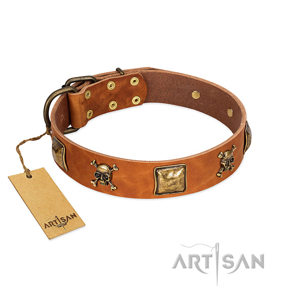 Unique full grain natural leather dog collar with reliable decorations