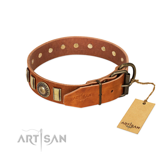 Significant full grain leather dog collar with rust resistant hardware