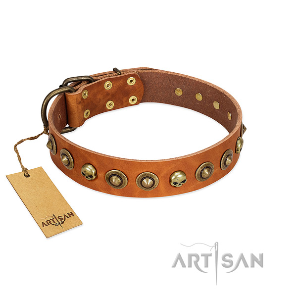 Full grain natural leather collar with impressive adornments for your doggie